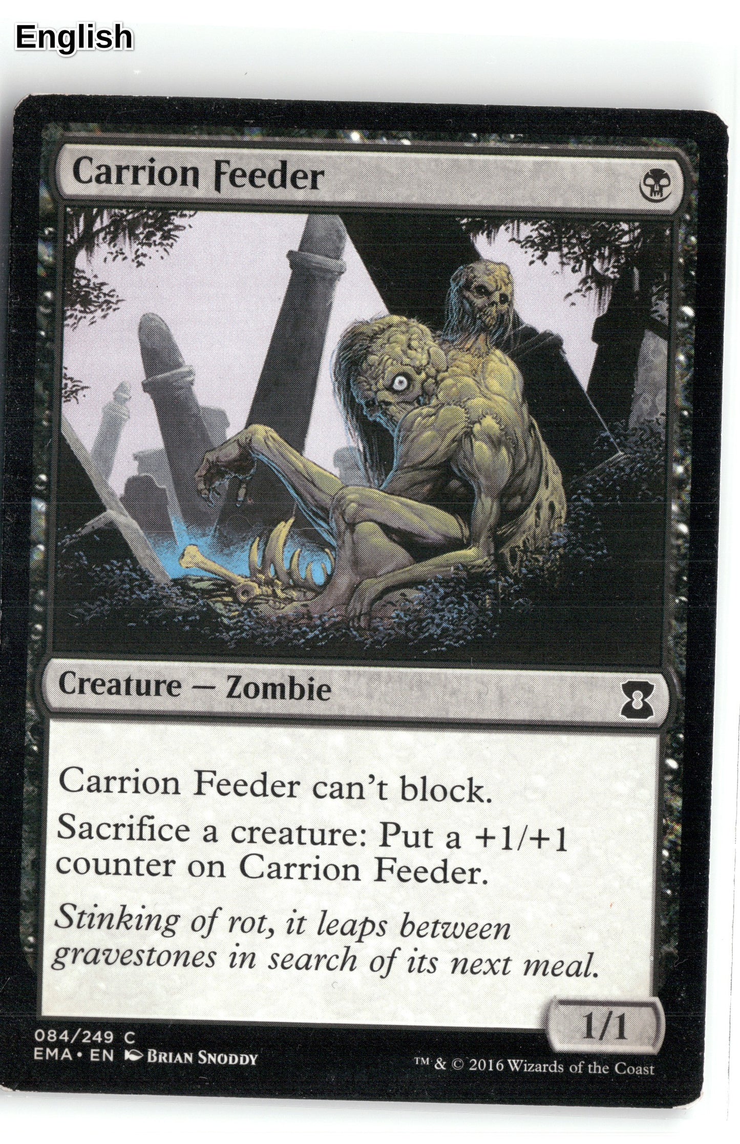 Carrion Feeder