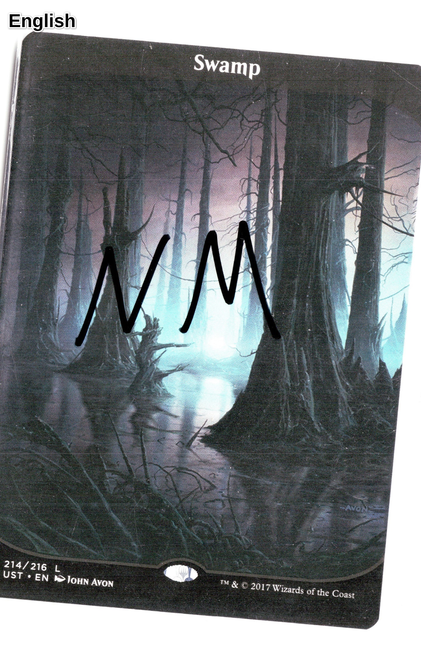 Swamp