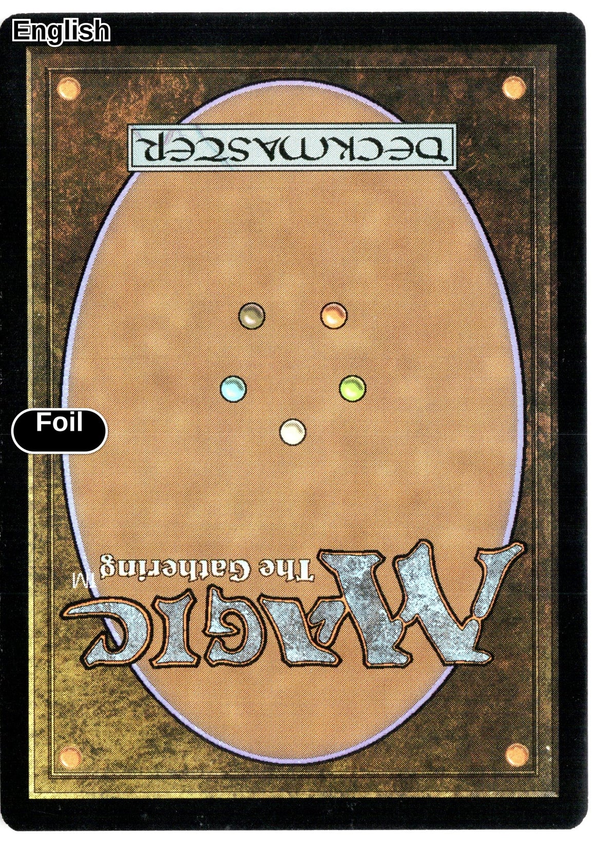 Kessig Wolf Run (Back)