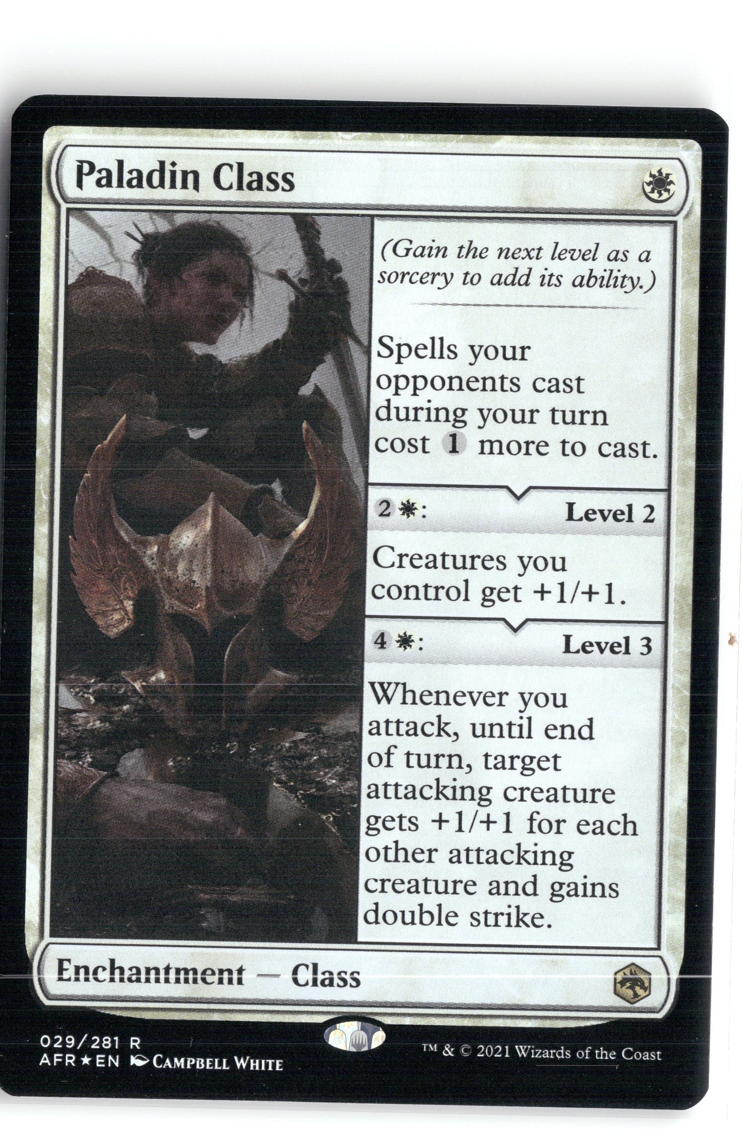 Paladin Class