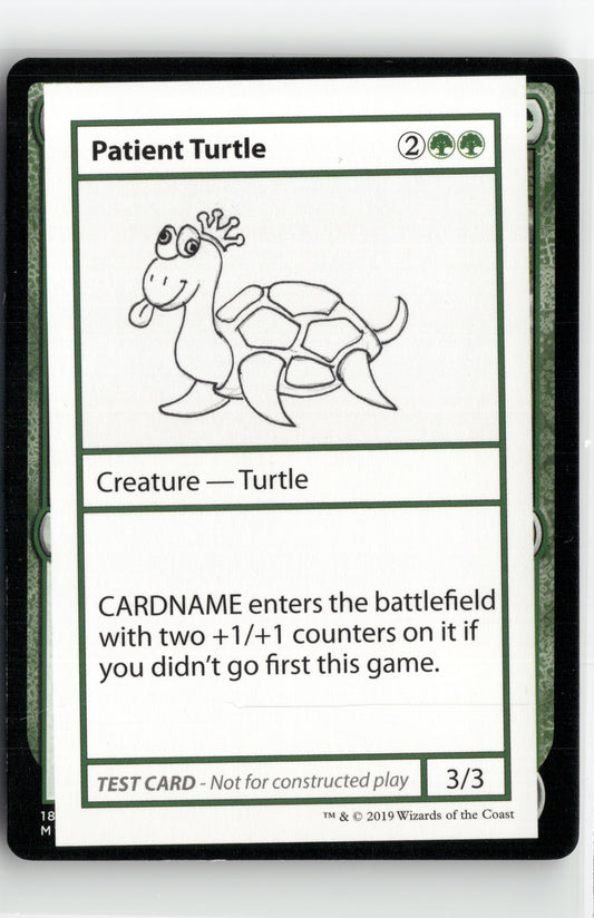 Patient Turtle