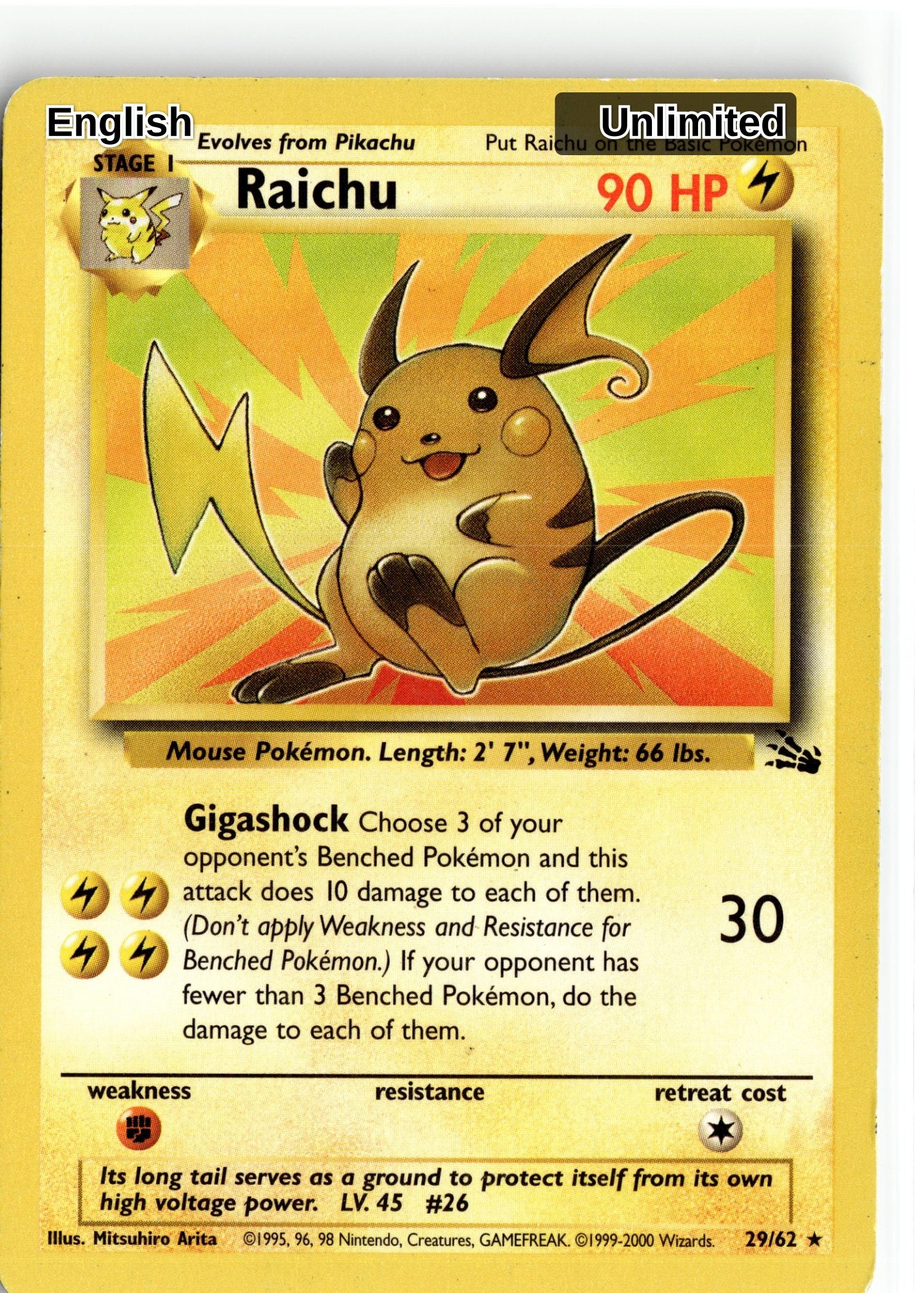 Raichu (29)