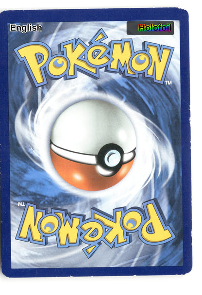 Charizard (Back)