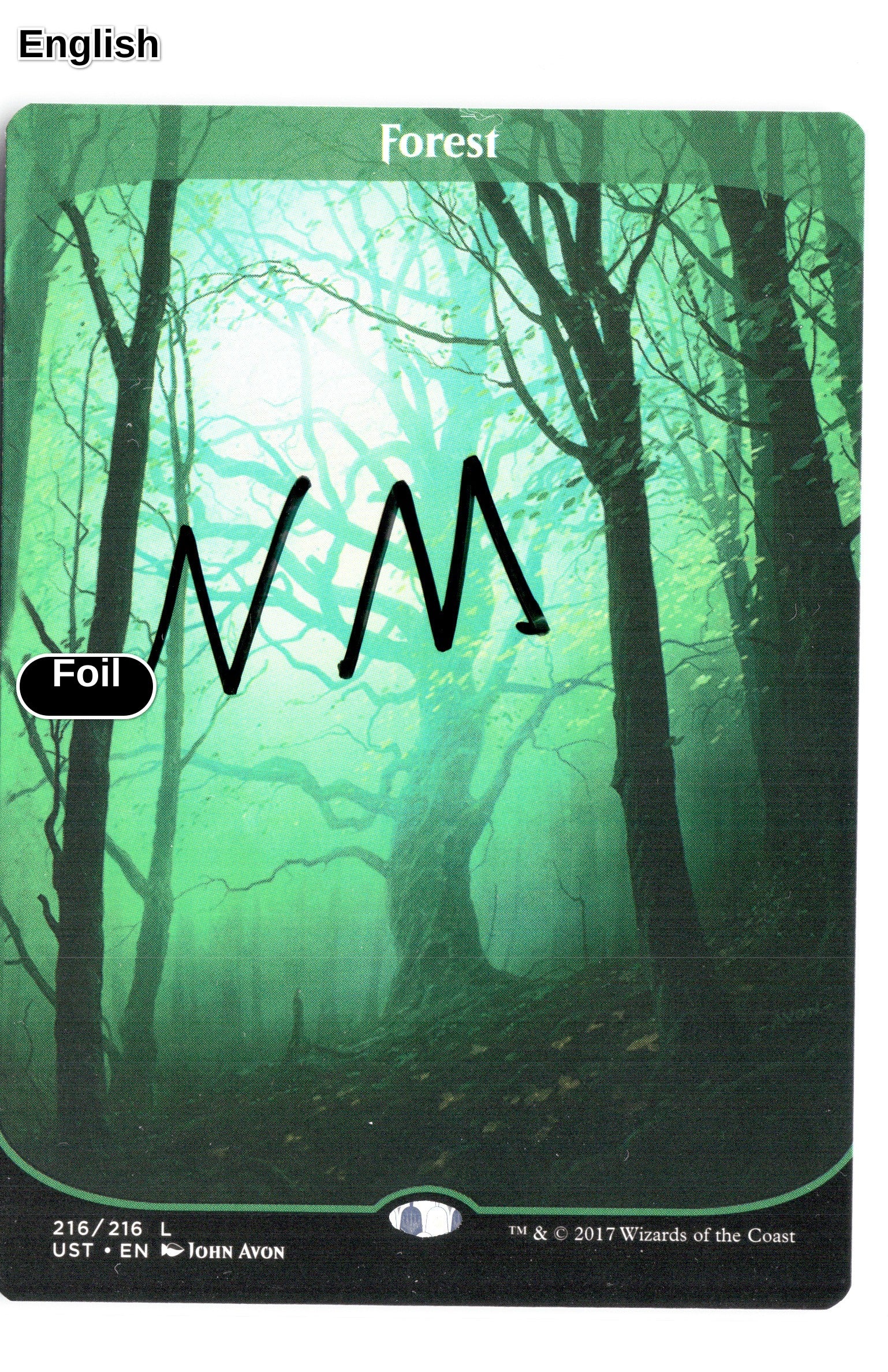 Forest