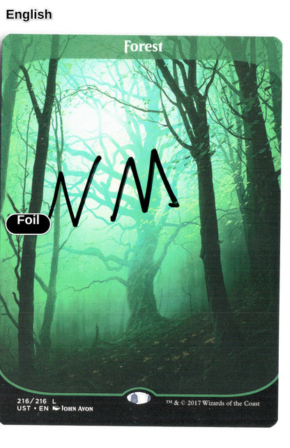 Forest
