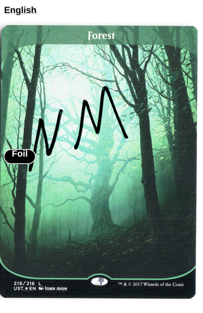 Forest