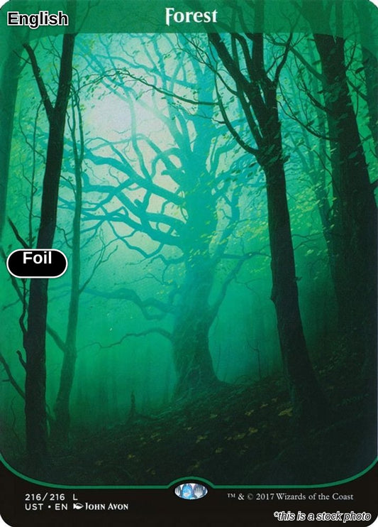 Forest