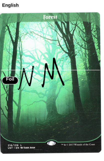 Forest
