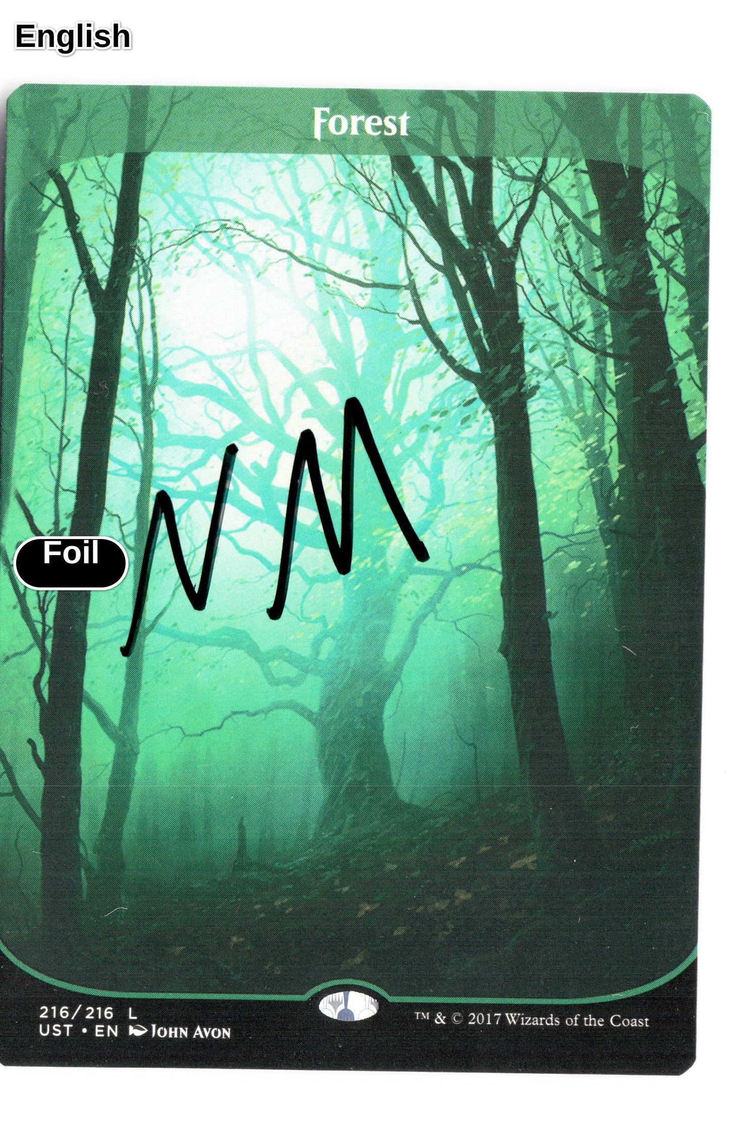Forest