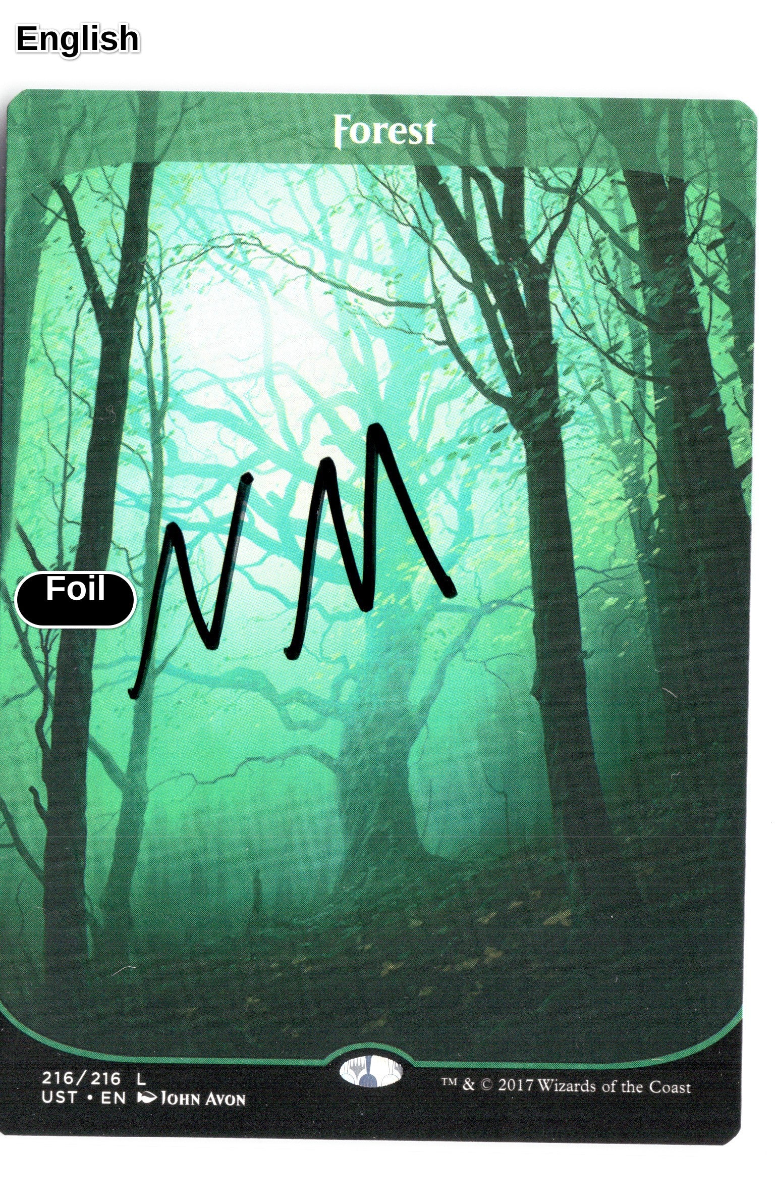 Forest