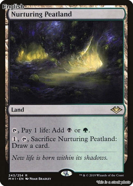 Nurturing Peatland