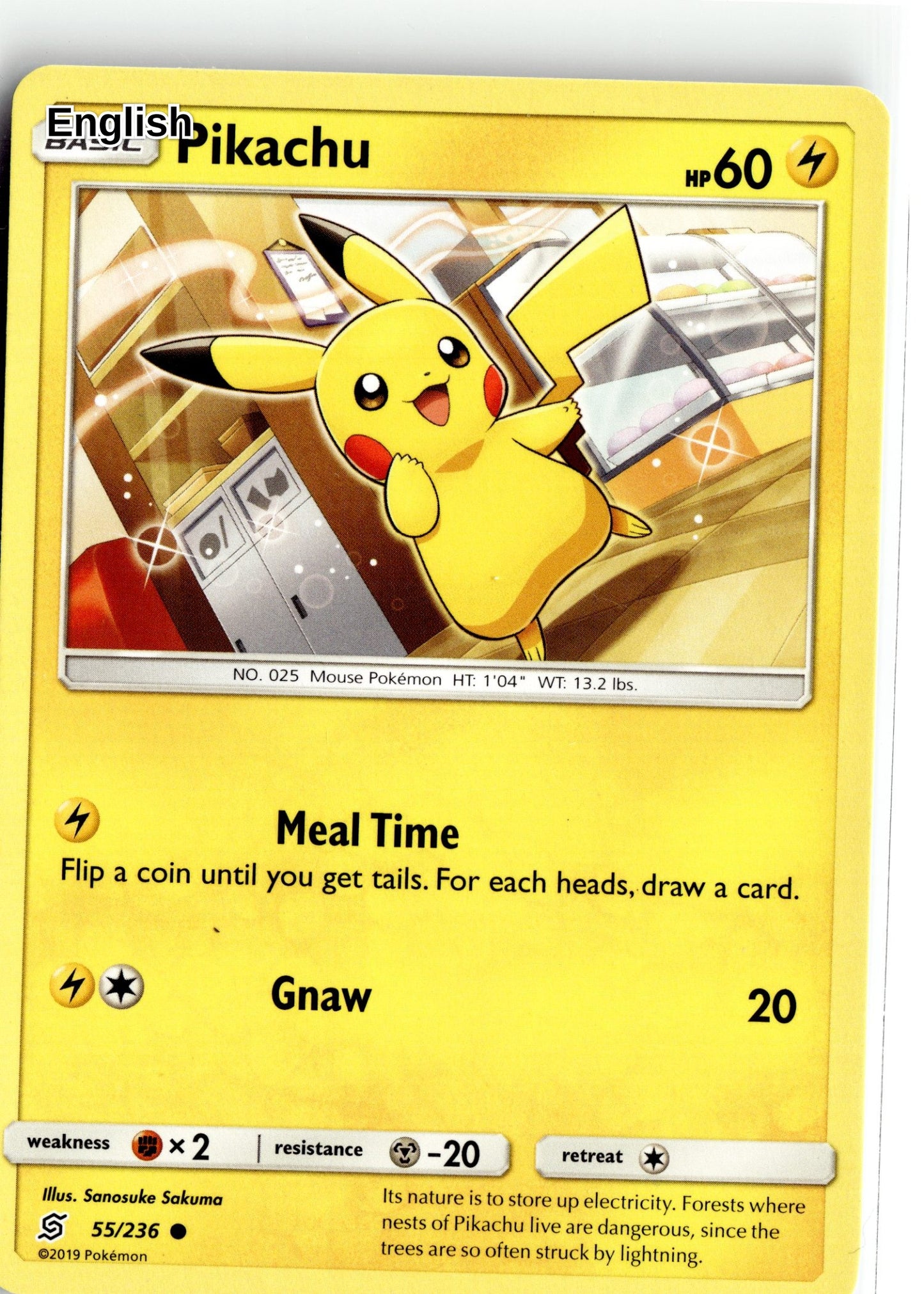Pikachu (55)