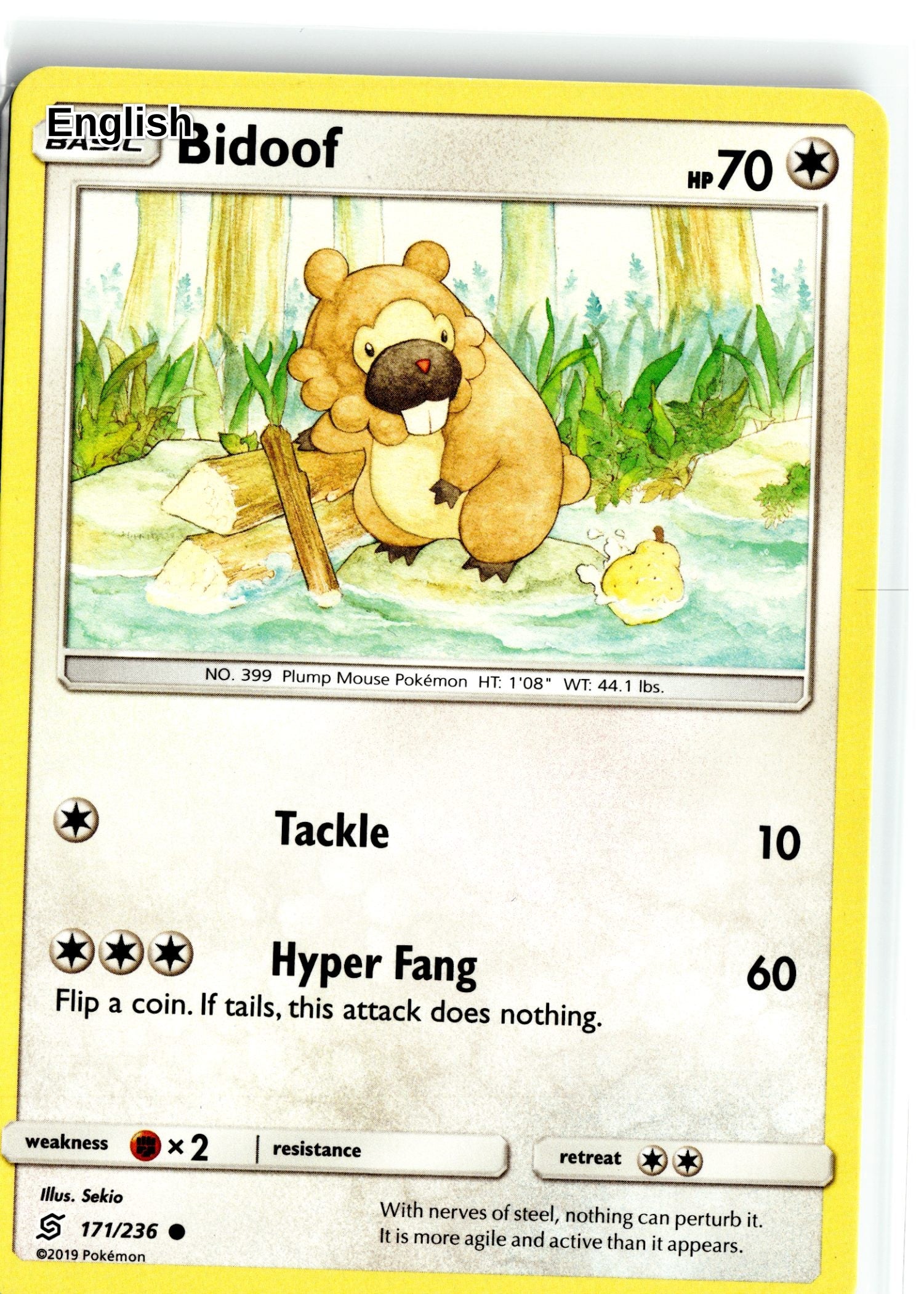 Bidoof