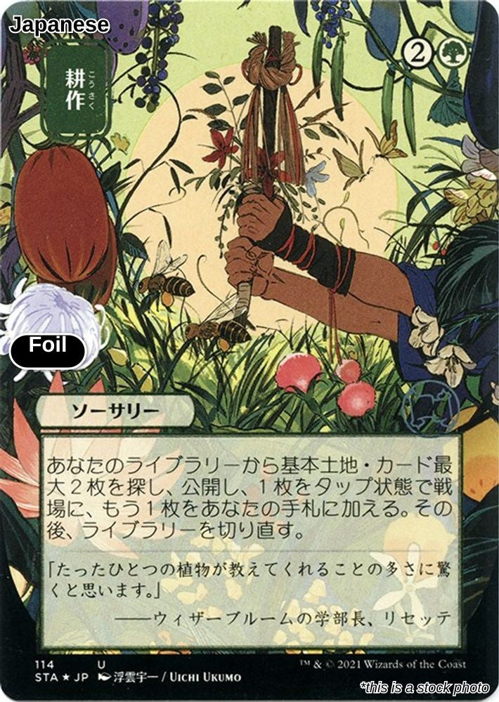 Cultivate (JP Alternate Art) (Foil Etched)