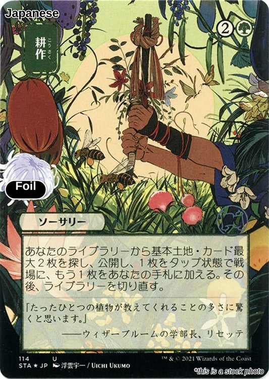 Cultivate (JP Alternate Art) (Foil Etched)