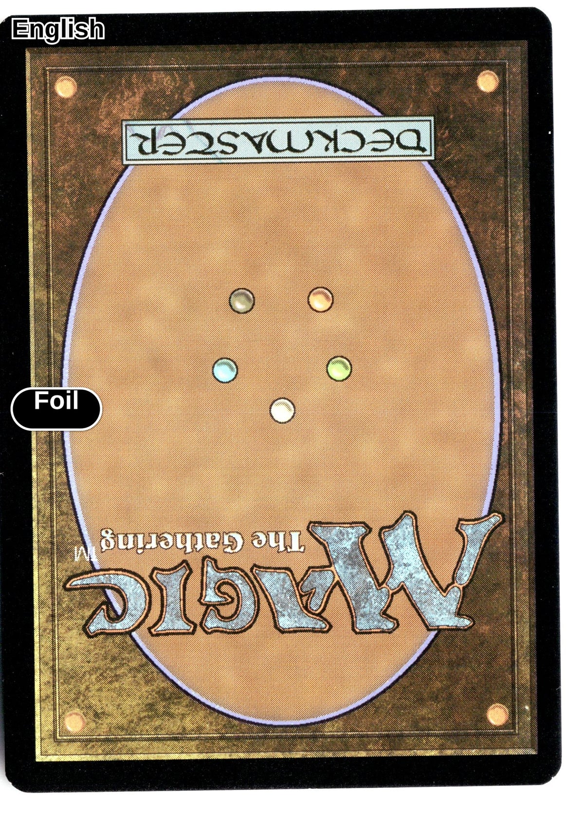 Lair of the Hydra (Dungeon Module) (Back)