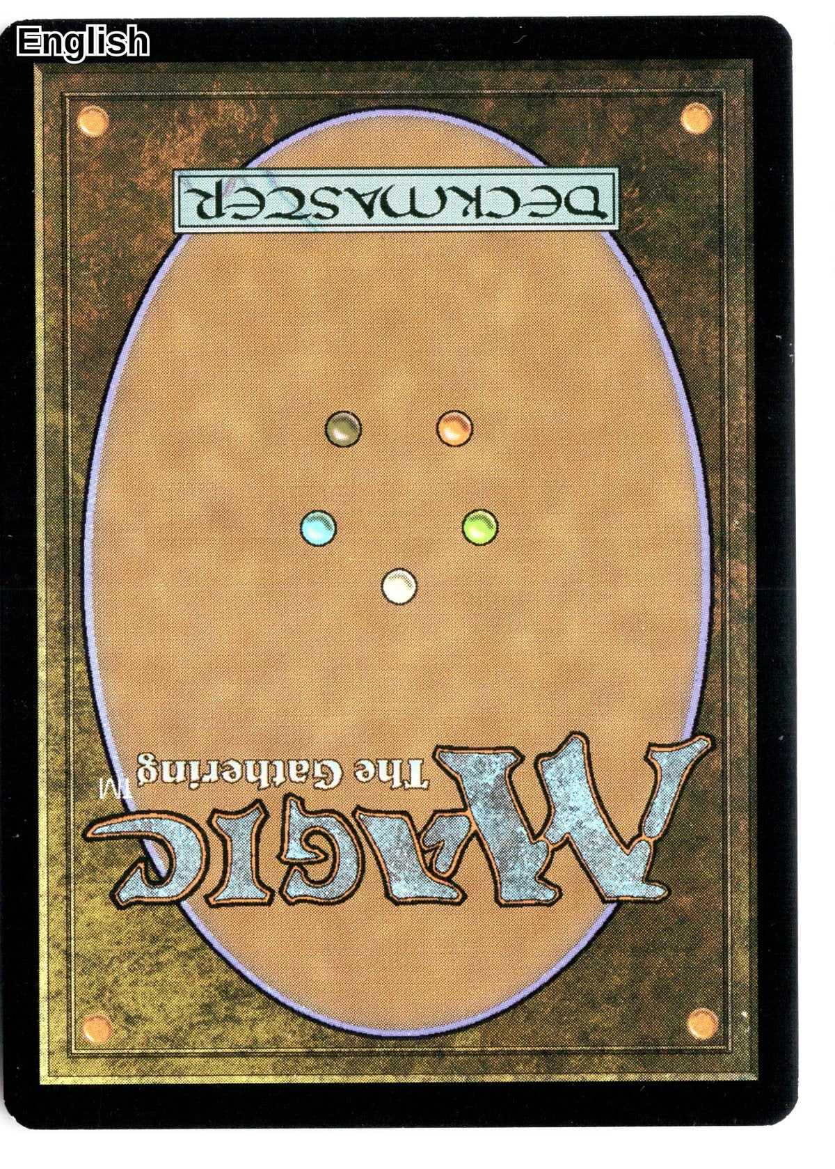Warren Instigator (Back)
