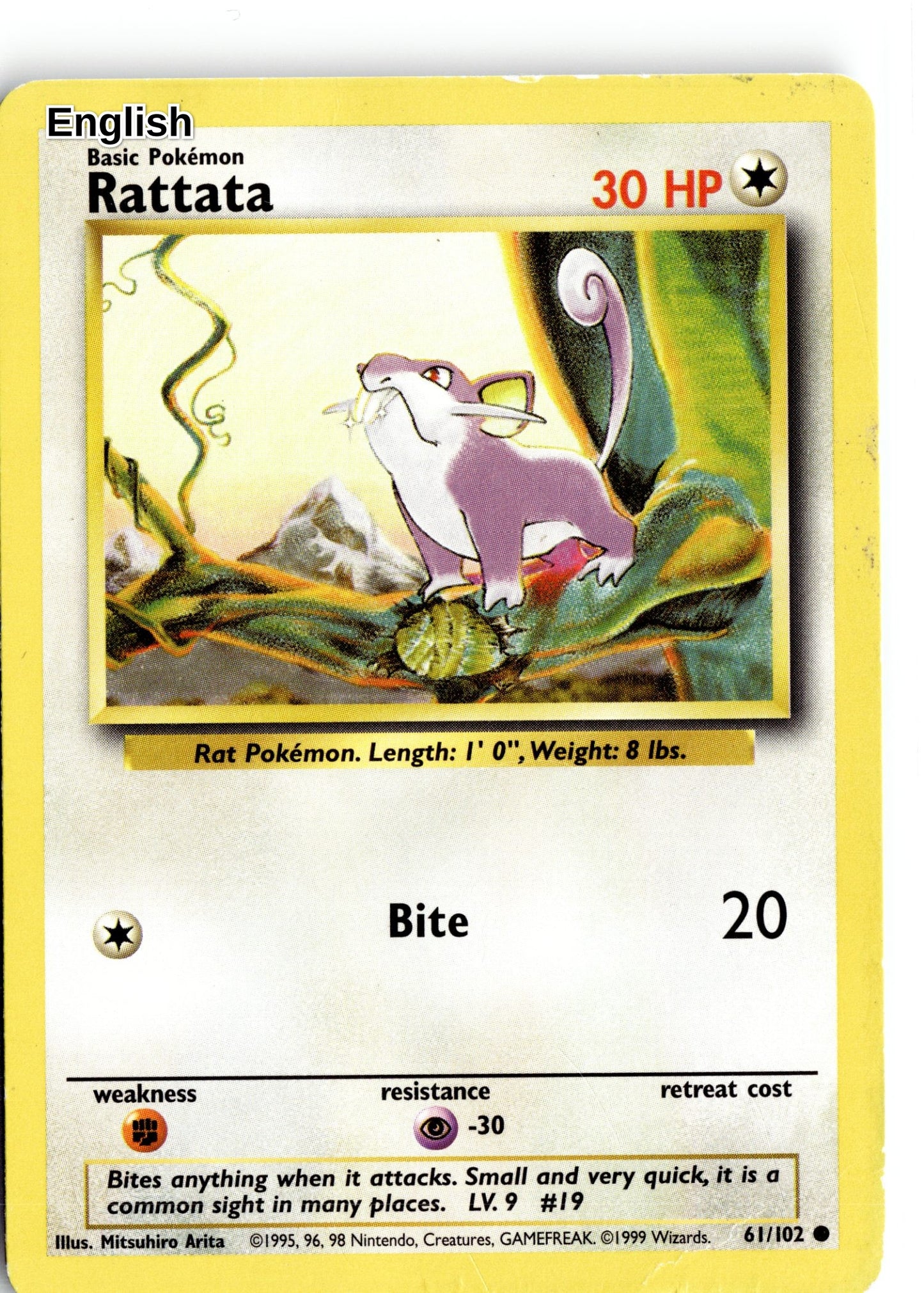Rattata