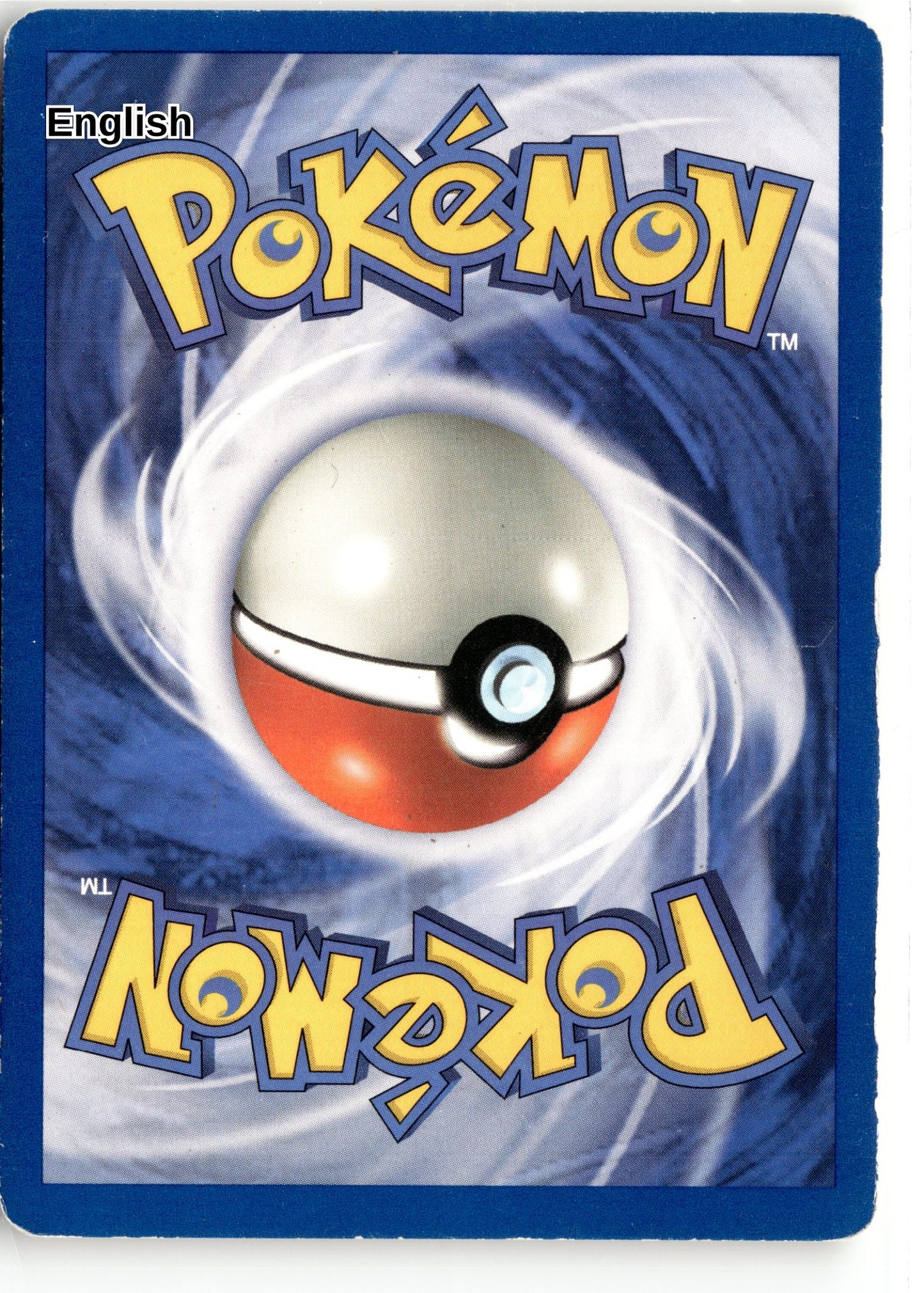 Wartortle (Back)