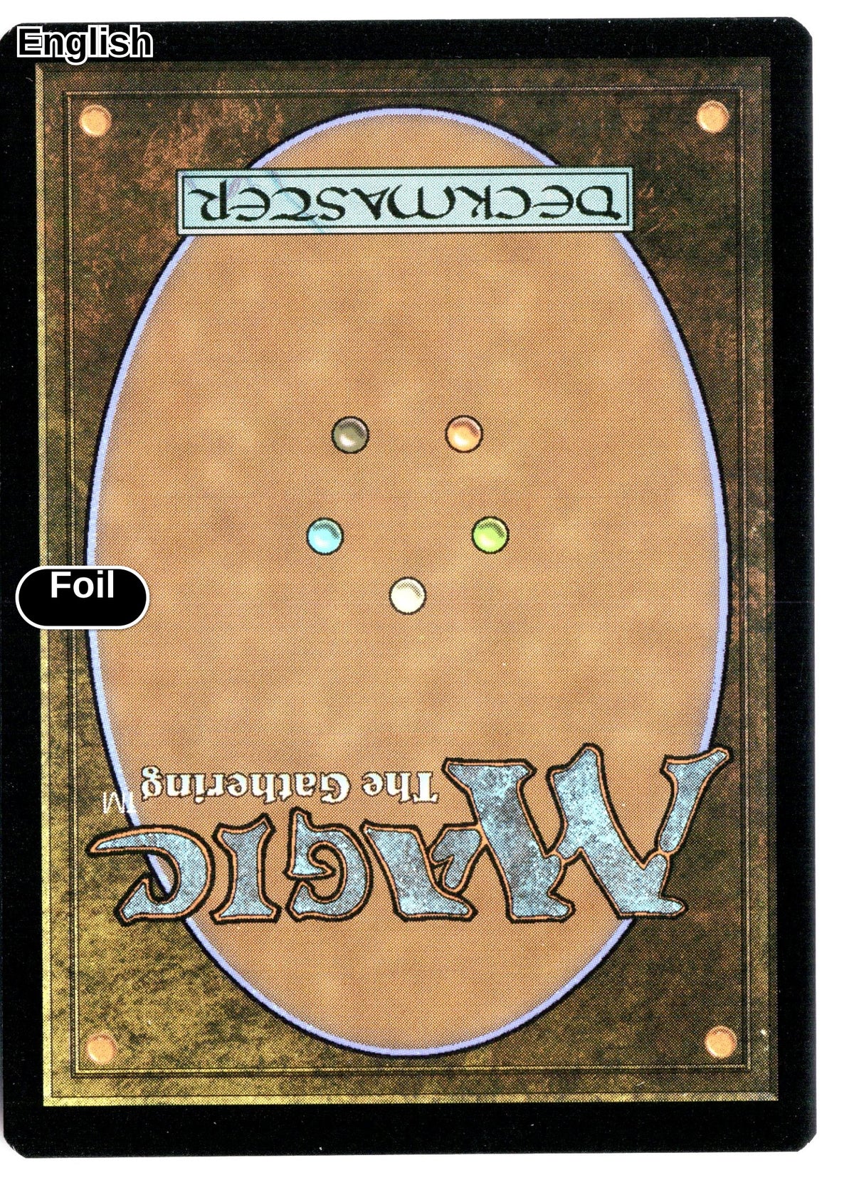 Sunpetal Grove (Extended Art) (Surge Foil) (Back)