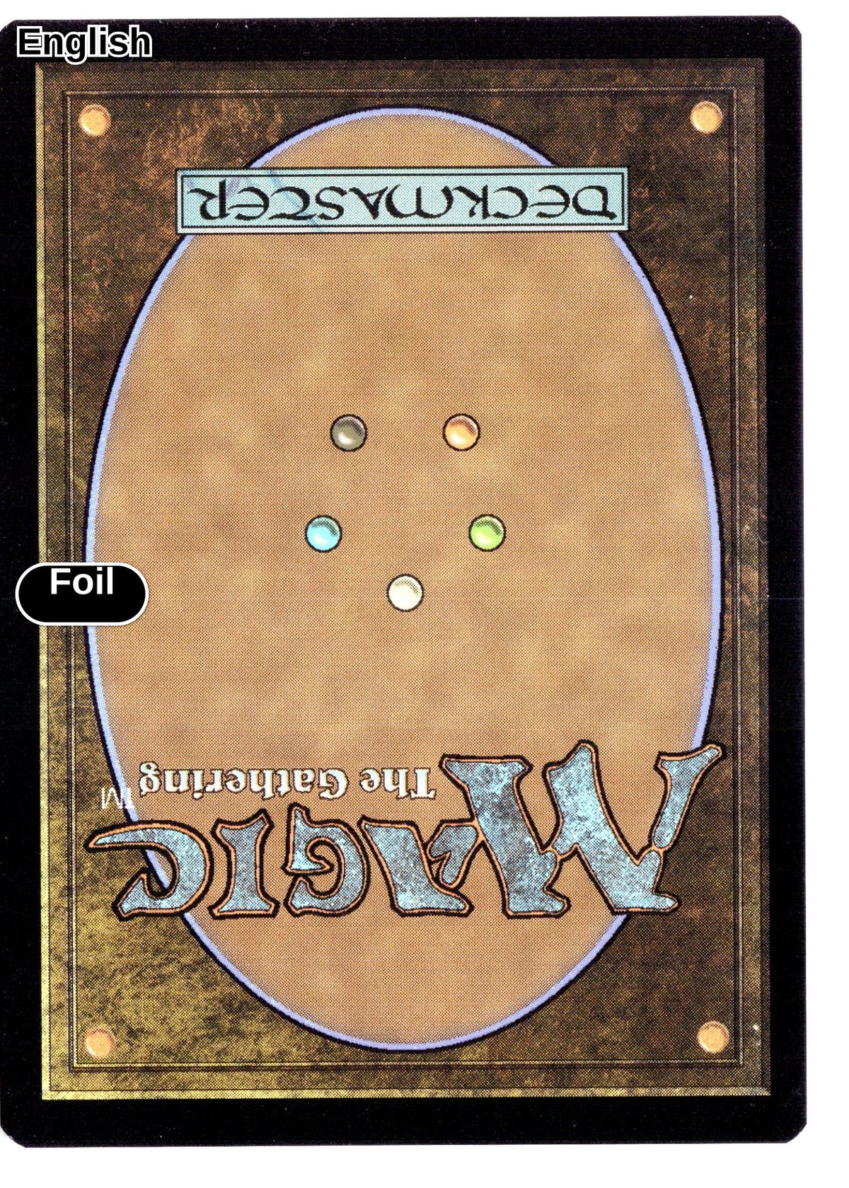 Rose, Cutthroat Raider (Extended Art) (Surge Foil) (Back)