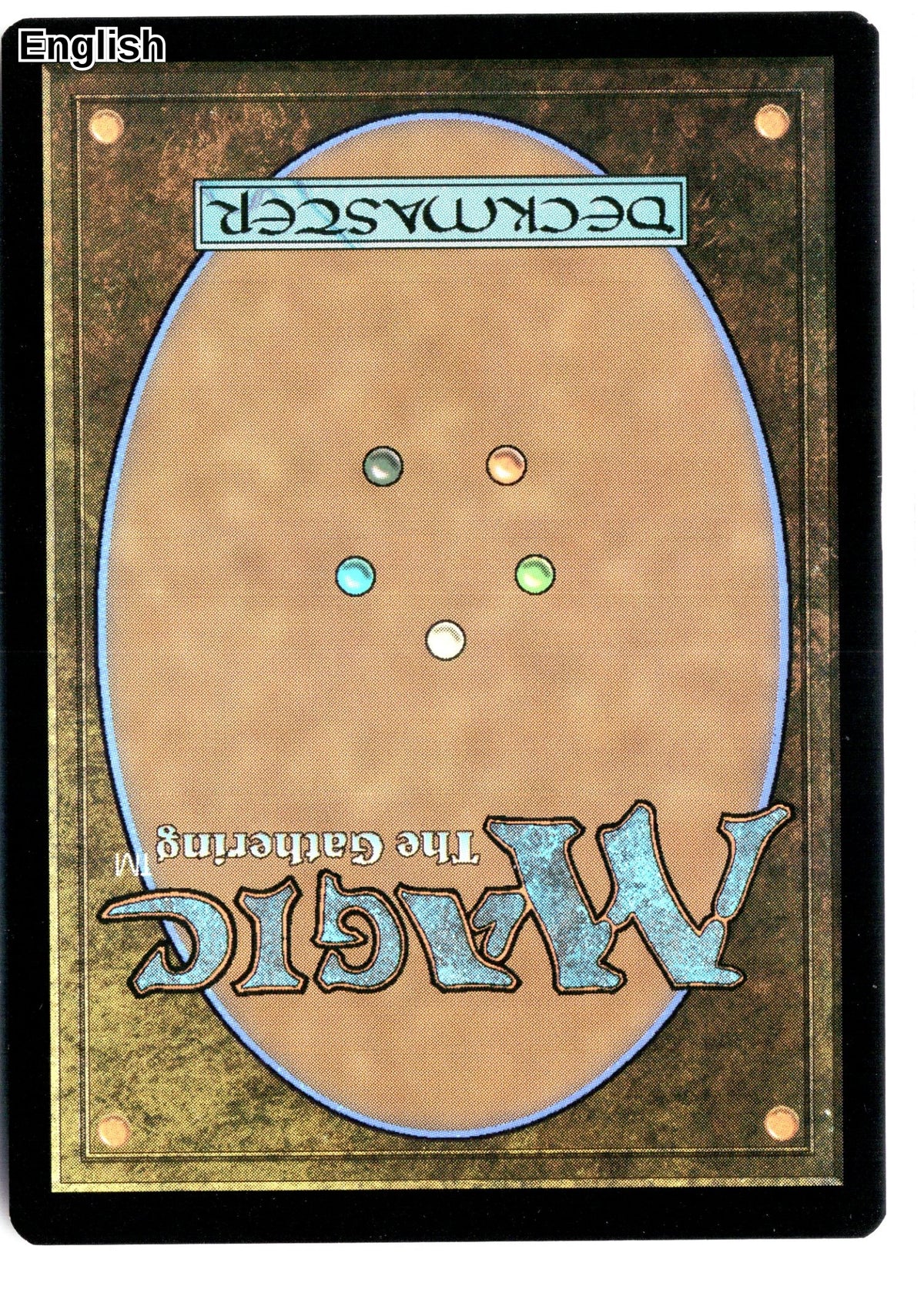 World Shaper (Back)