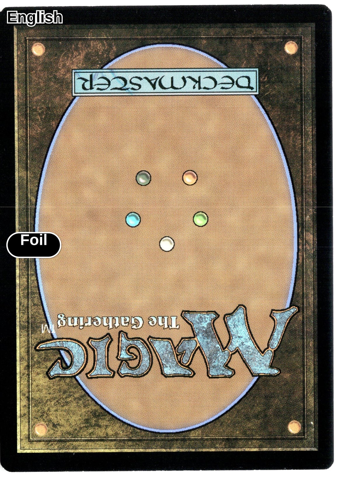 Season of Gathering (Borderless) (Back)