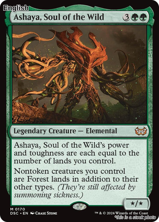 Ashaya, Soul of the Wild