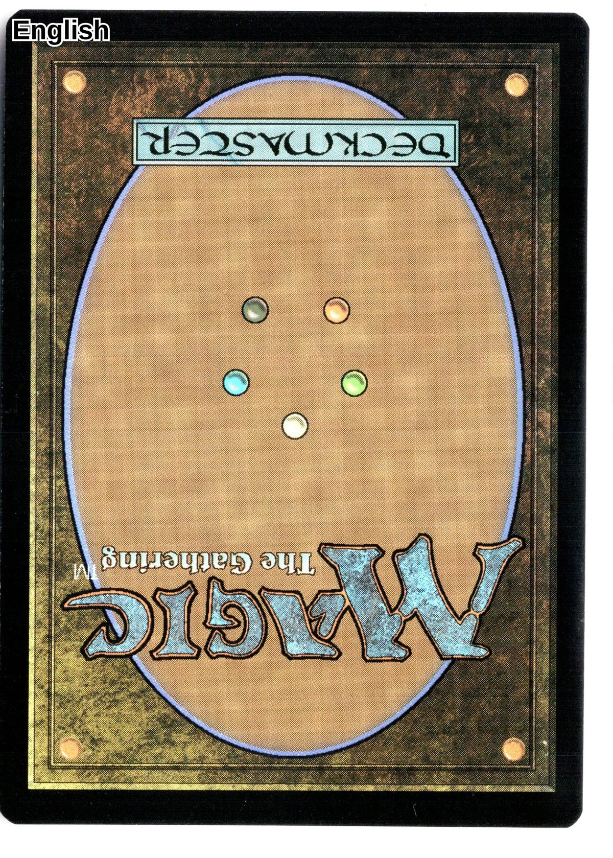 Scute Swarm (Back)