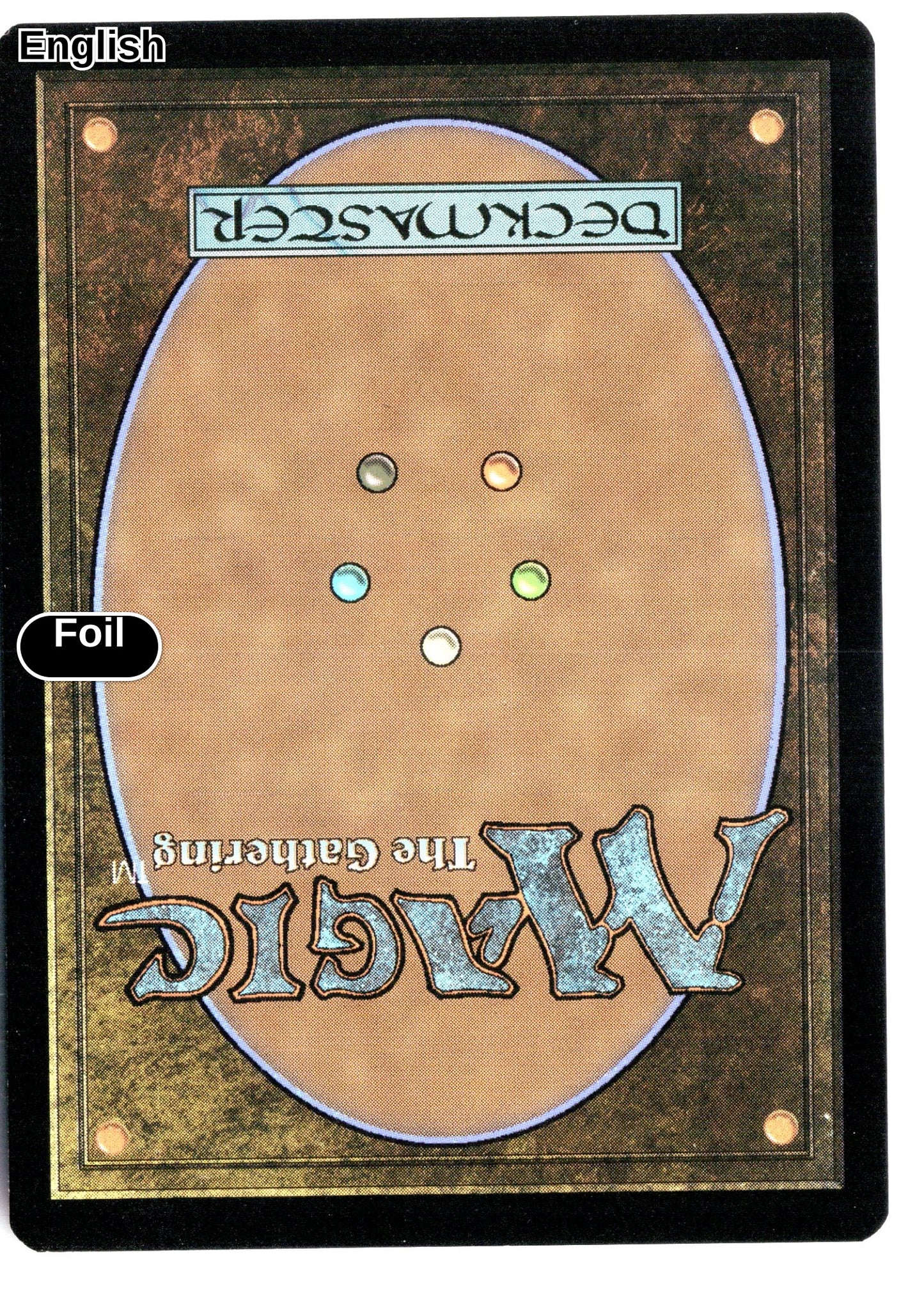 Secure the Wastes (Rainbow Foil) (Back)