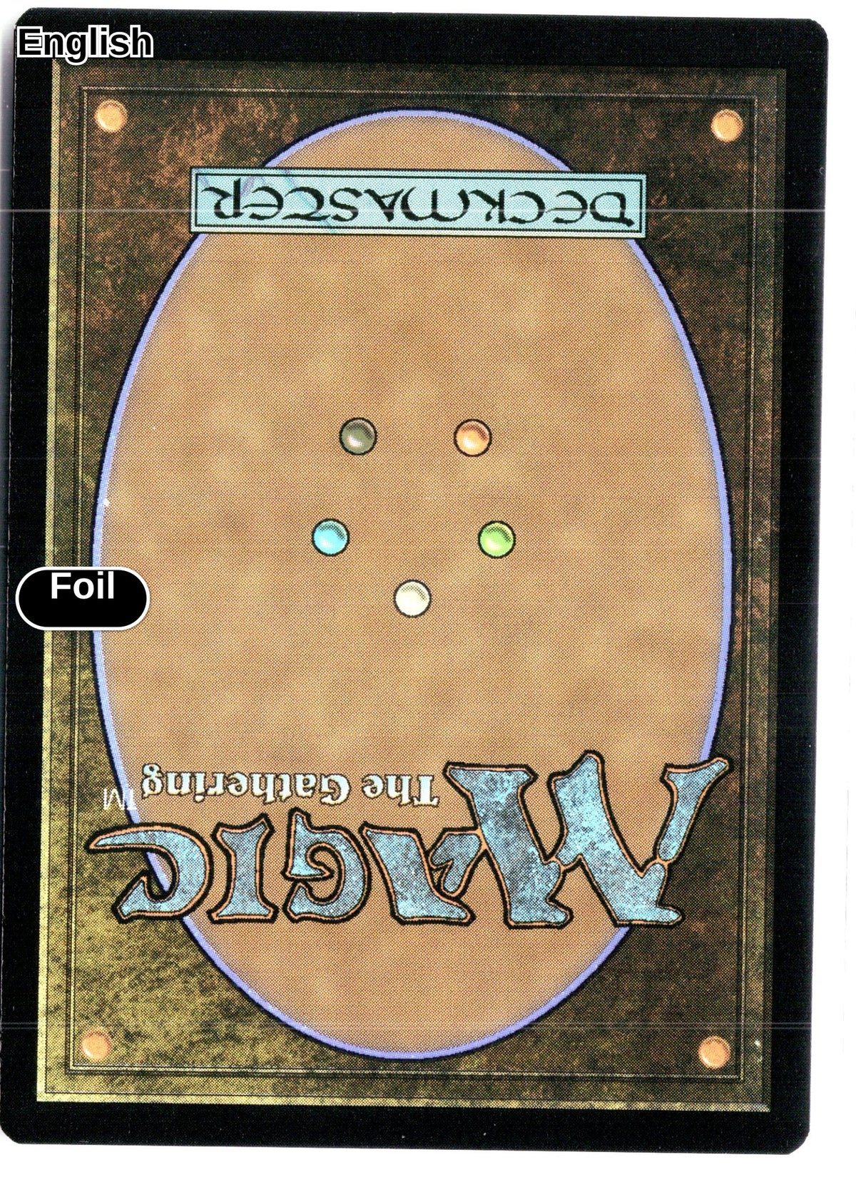 Forest (0892) (Rainbow Foil) (Back)