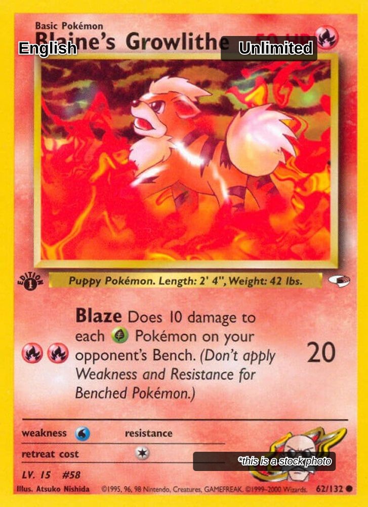 Blaine's Growlithe (62)