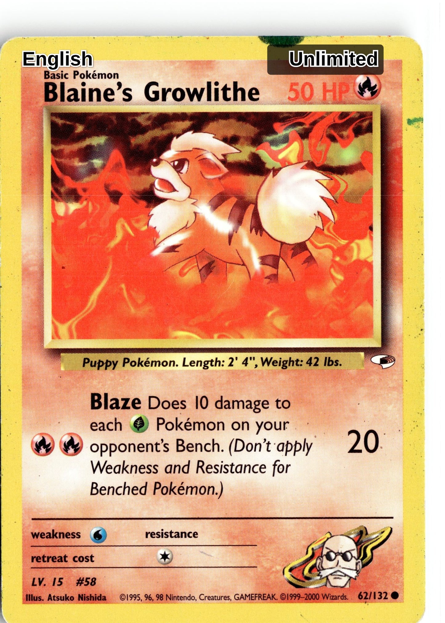 Blaine's Growlithe (62)