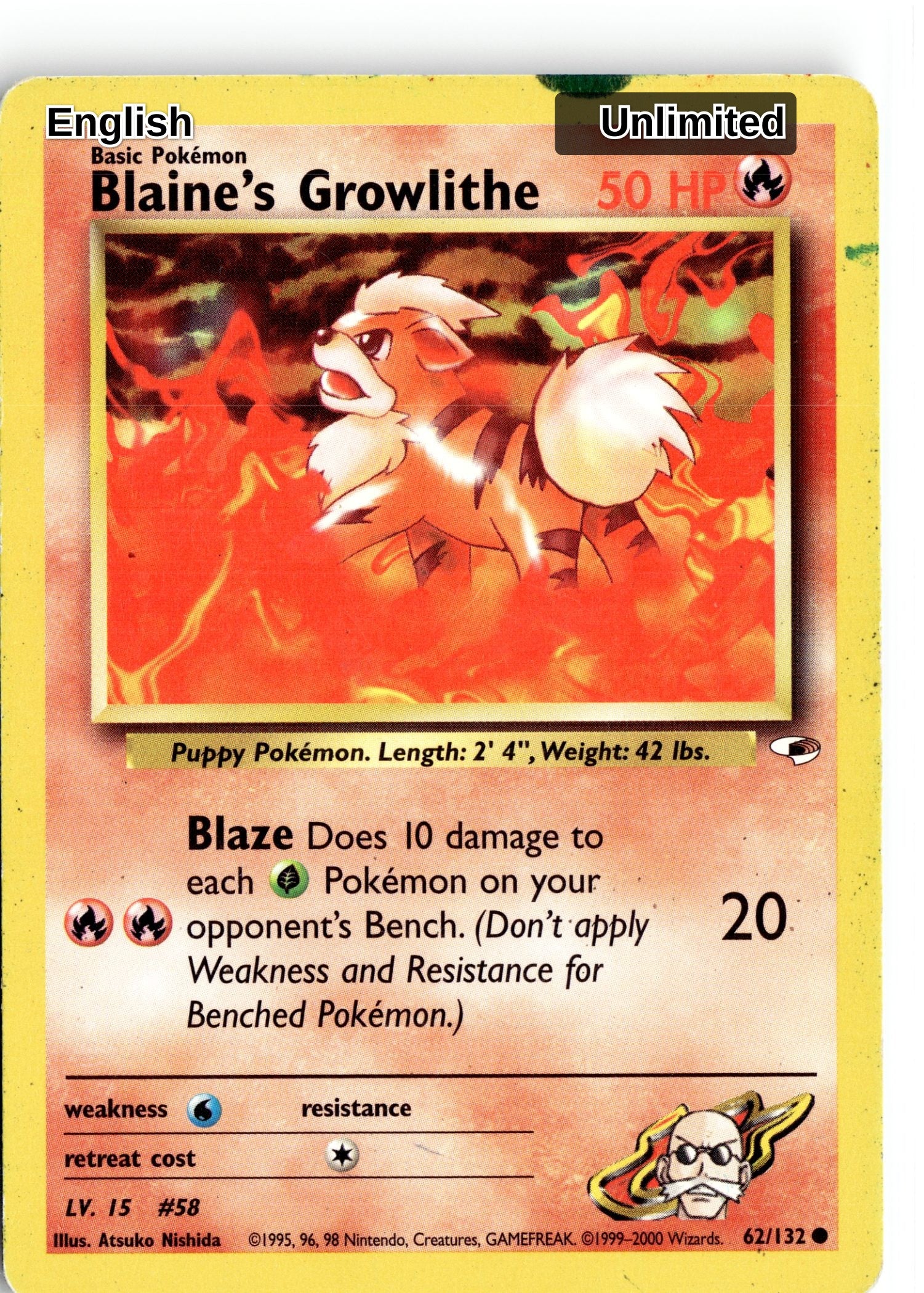 Blaine's Growlithe (62)