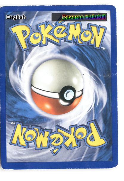 Dialga (Back)