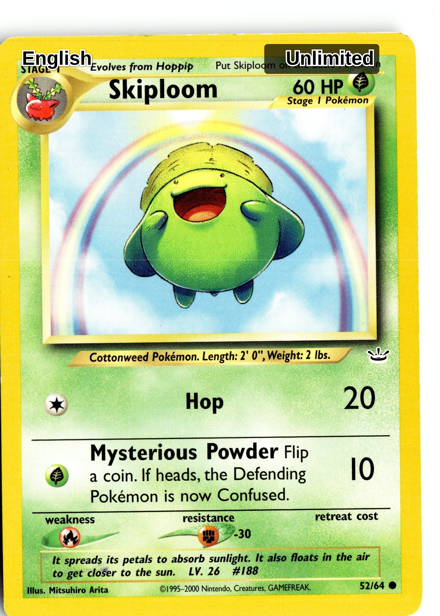 Skiploom