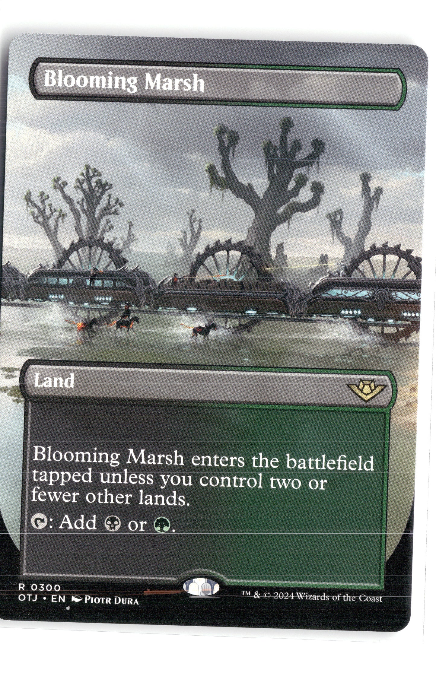 Blooming Marsh (Borderless)