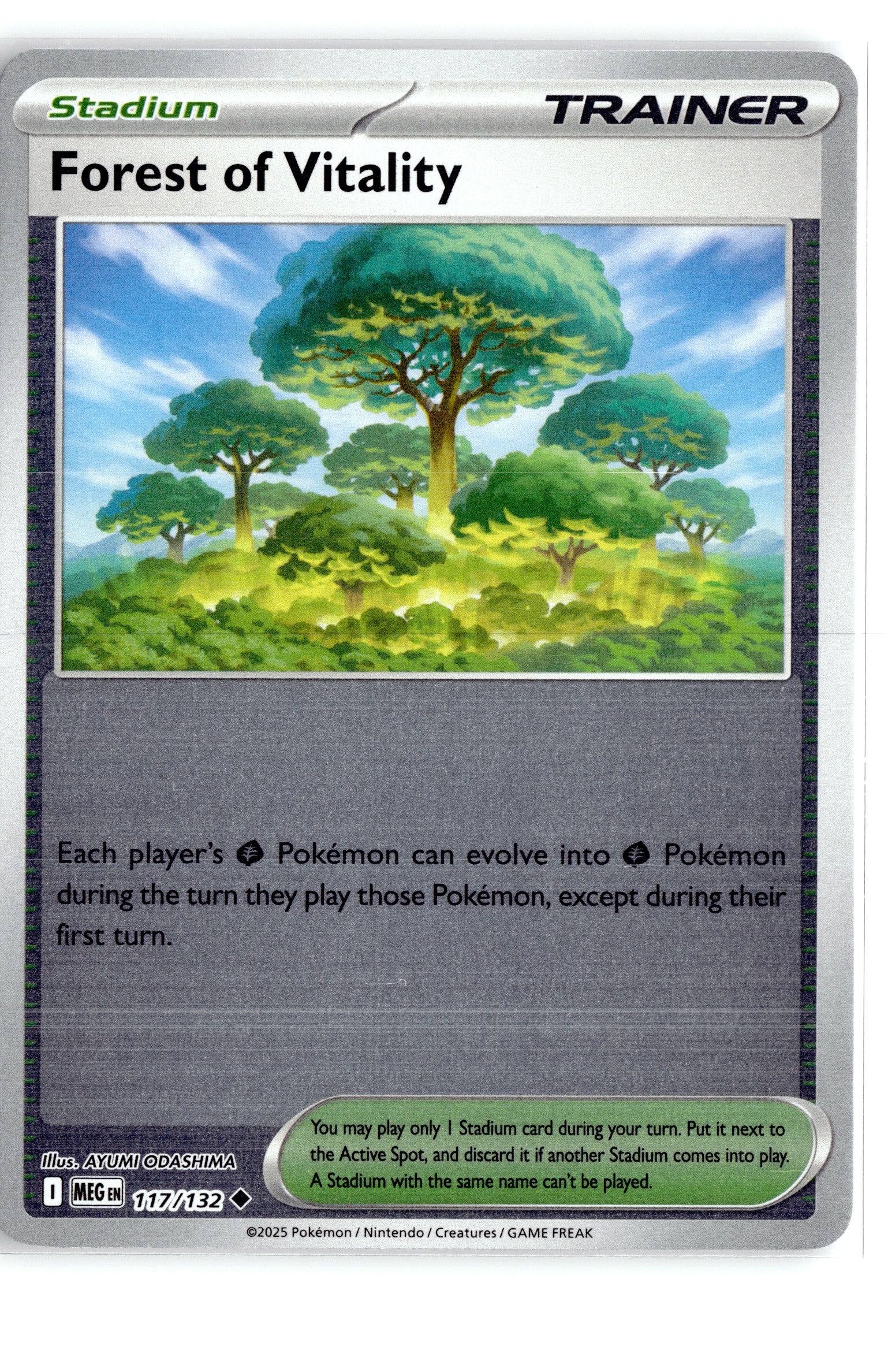Forest of Vitality