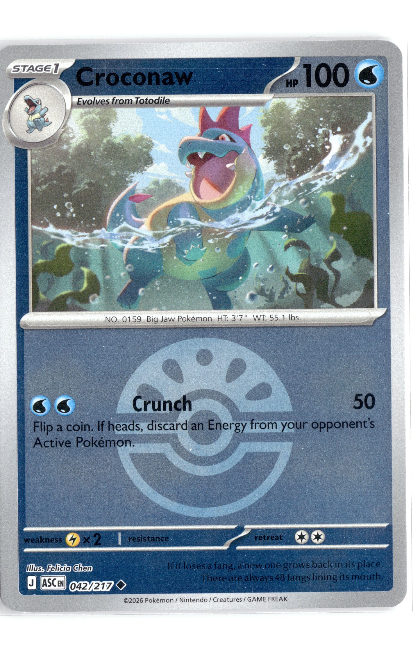 Croconaw (Energy Symbol Pattern)