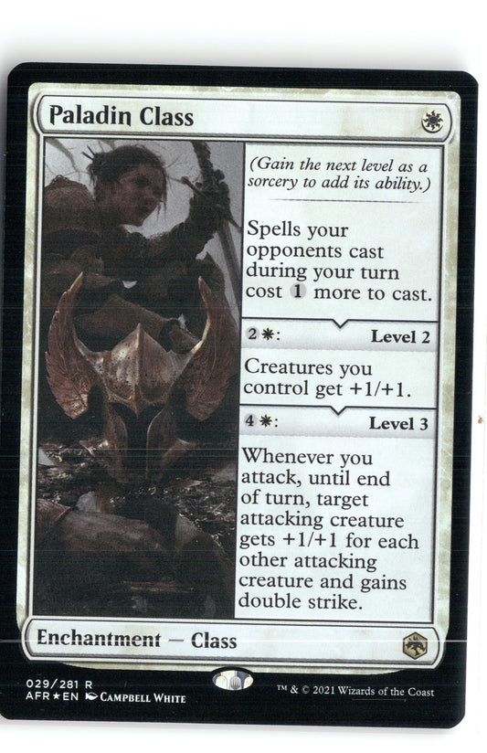 Paladin Class