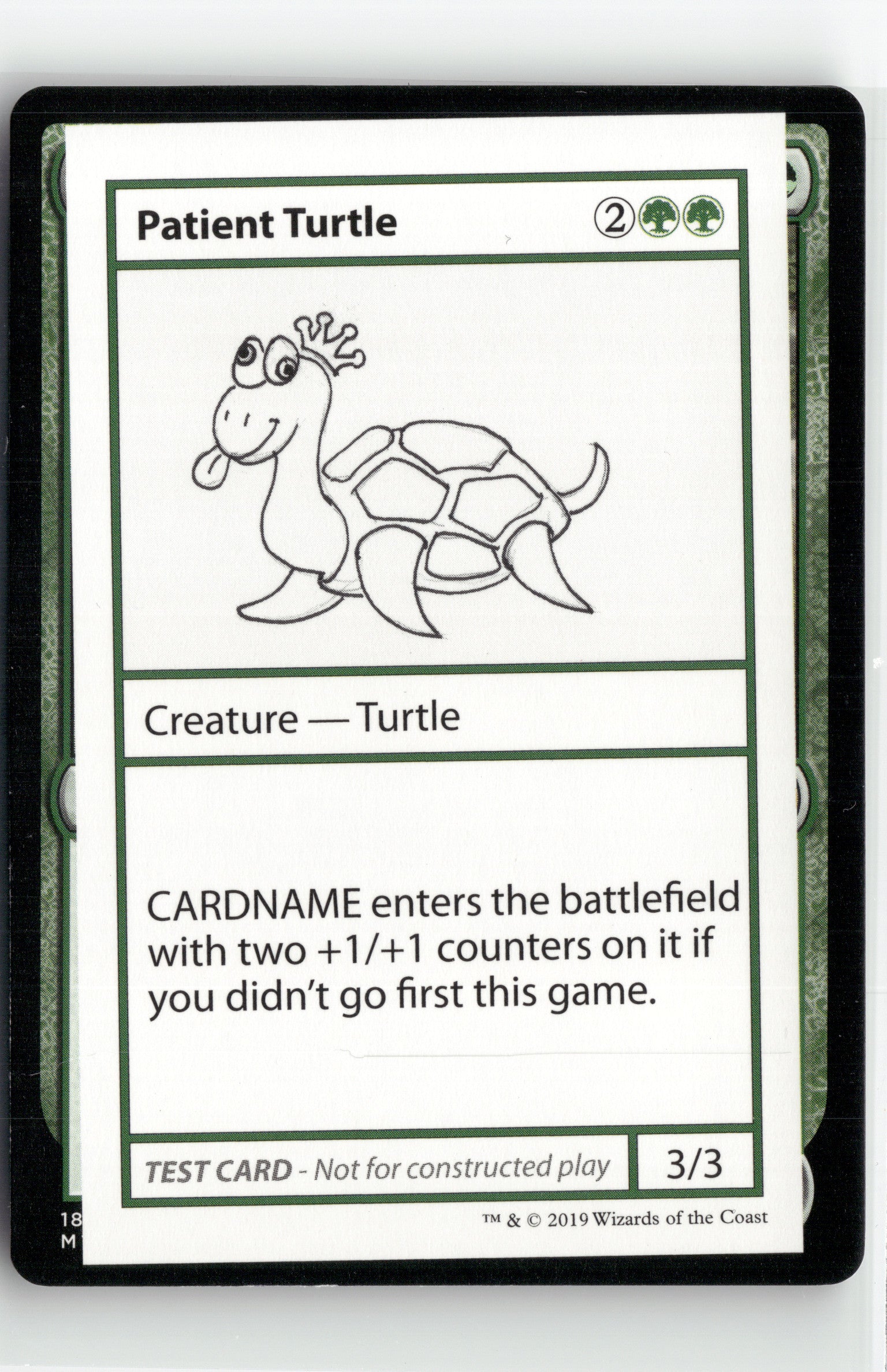 Patient Turtle